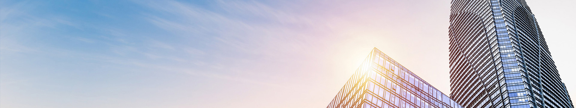 新澳门2025原材料大全