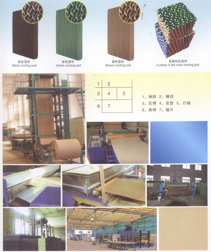 20140517184182168216.jpg