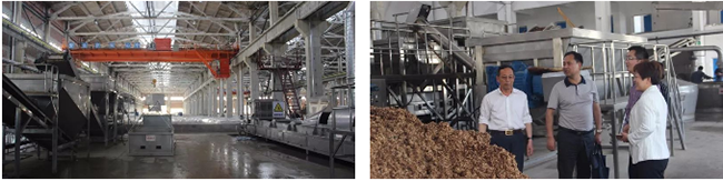 新澳门2025原材料大全