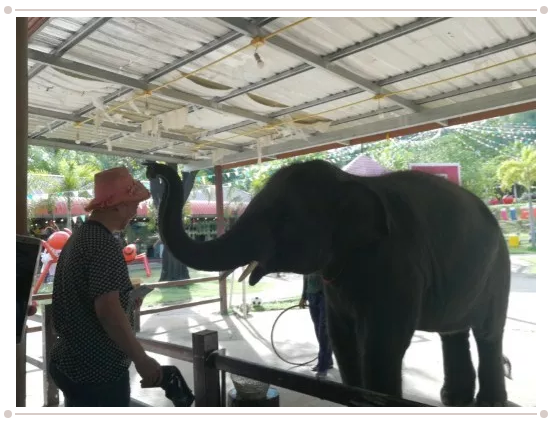 新澳门2025原材料大全