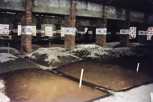 新澳门2025原材料大全