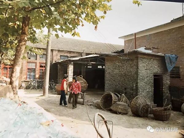 新澳门2025原材料大全