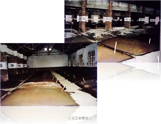 新澳门2025原材料大全