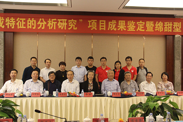 新澳门2025原材料大全