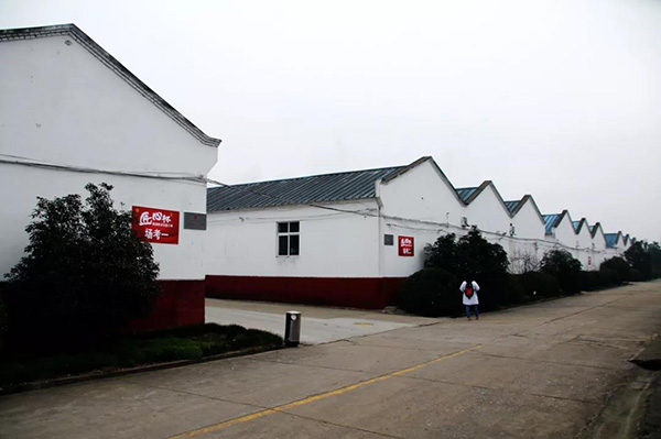 新澳门2025原材料大全