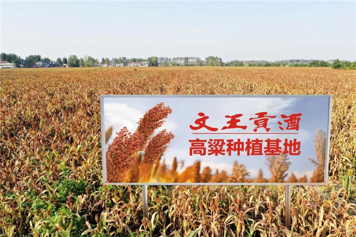 新澳门2025原材料大全