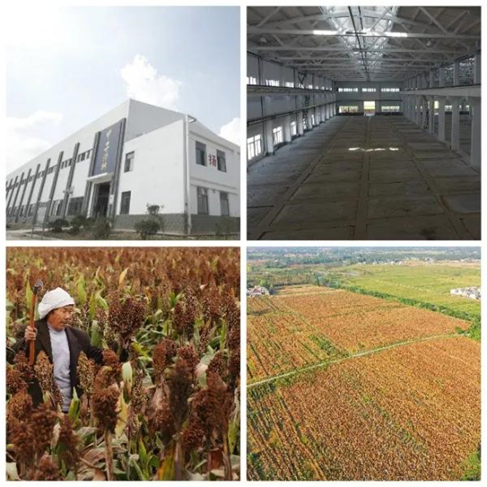 新澳门2025原材料大全