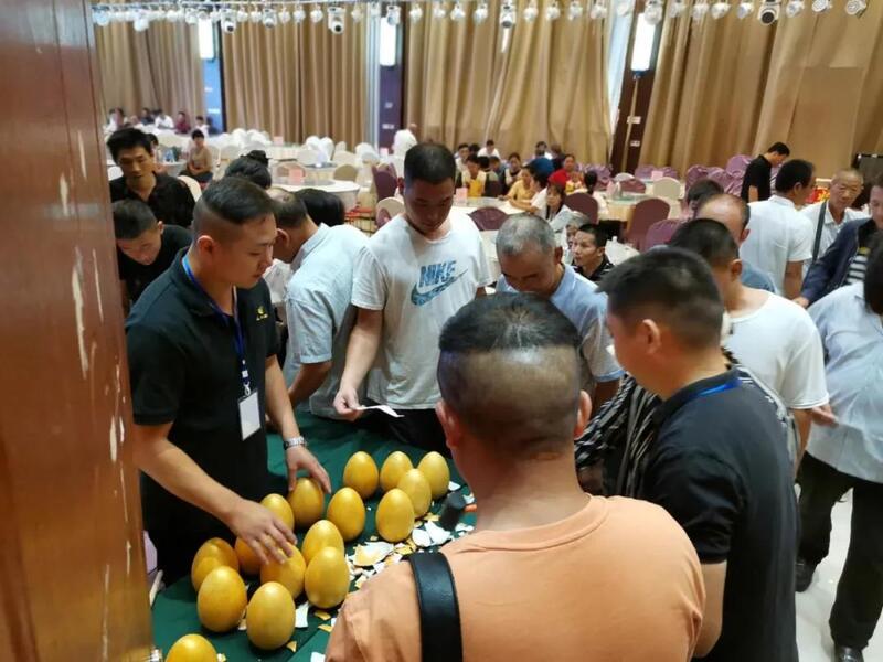 新澳门2025原材料大全