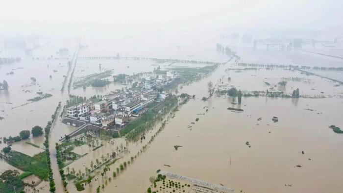 新澳门2025原材料大全