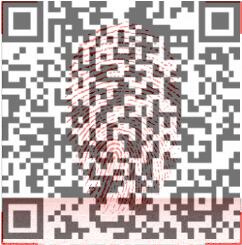 新澳门2025原材料大全