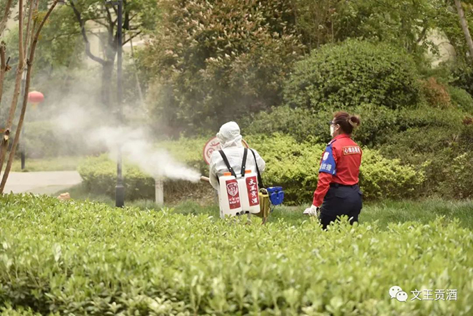 新澳门2025原材料大全