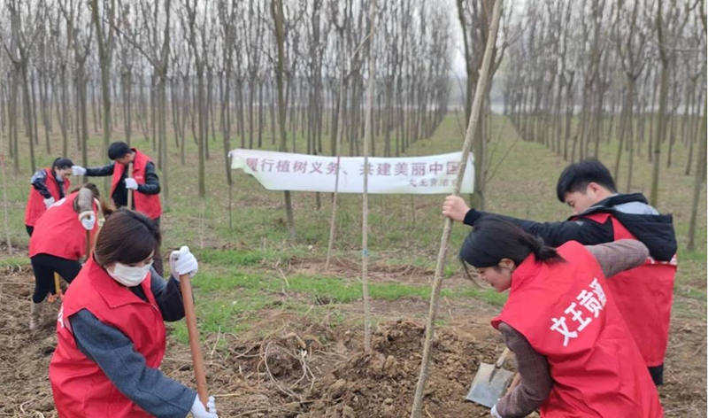 新澳门2025原材料大全