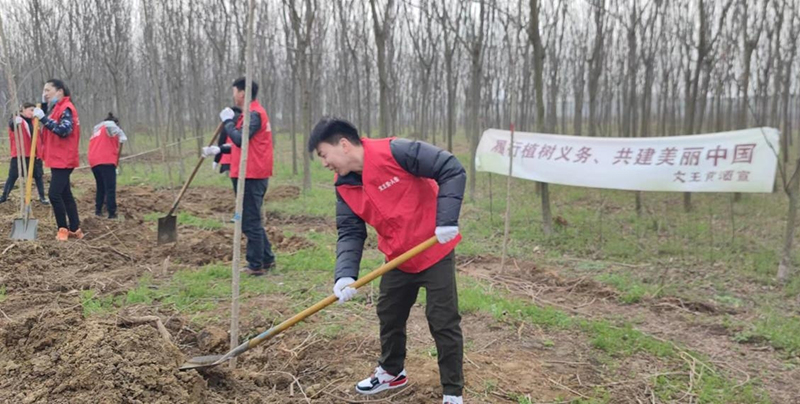 新澳门2025原材料大全