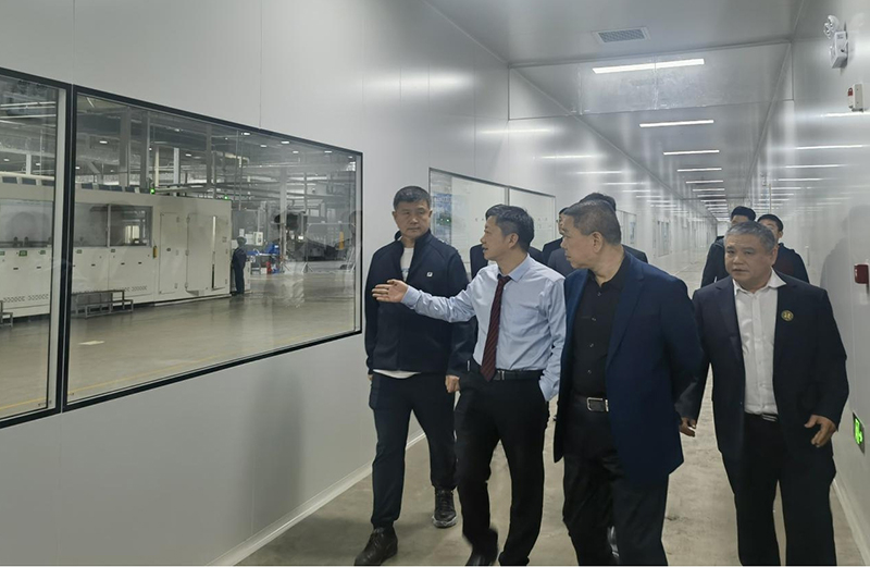 新澳门2025原材料大全