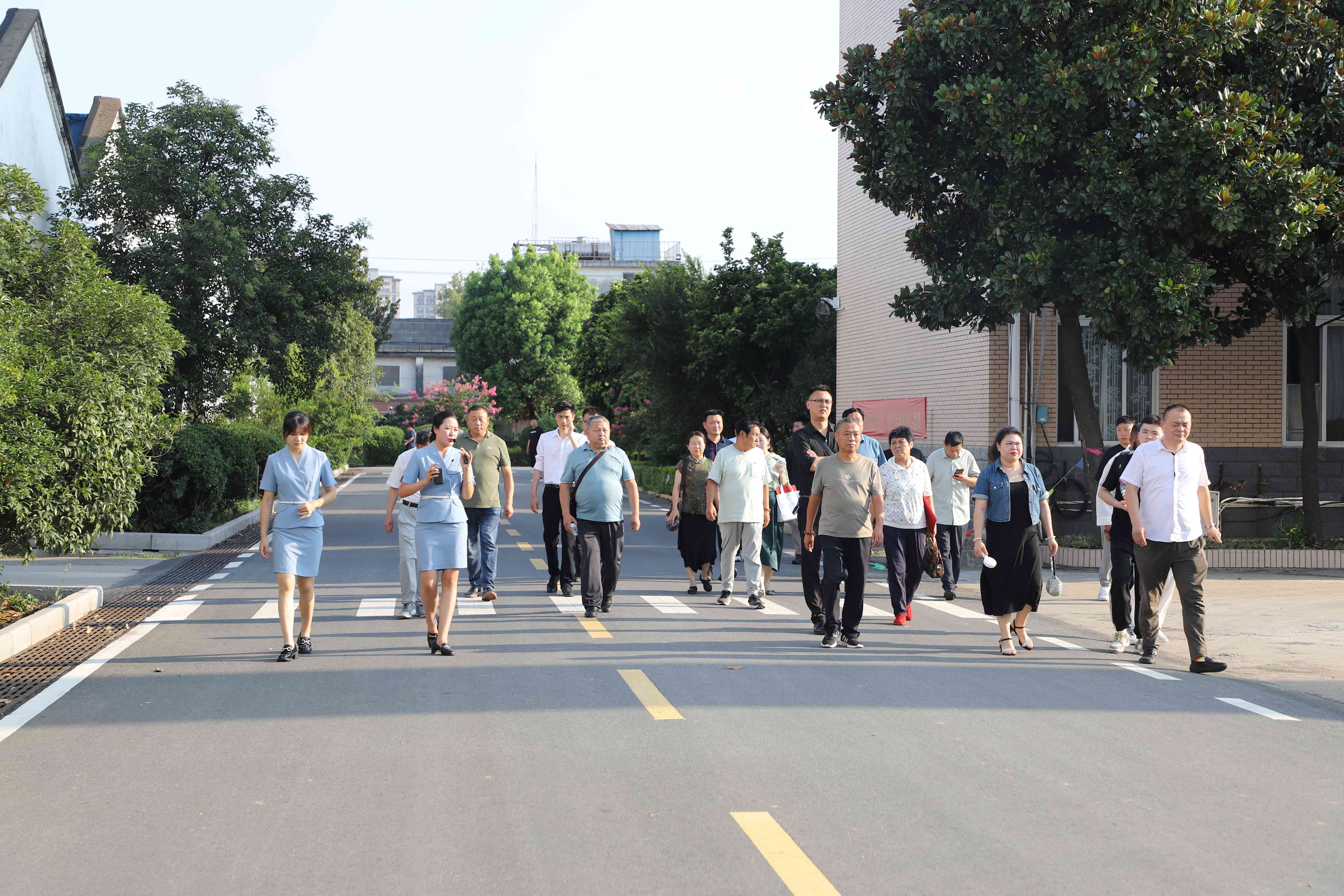 新澳门2025原材料大全