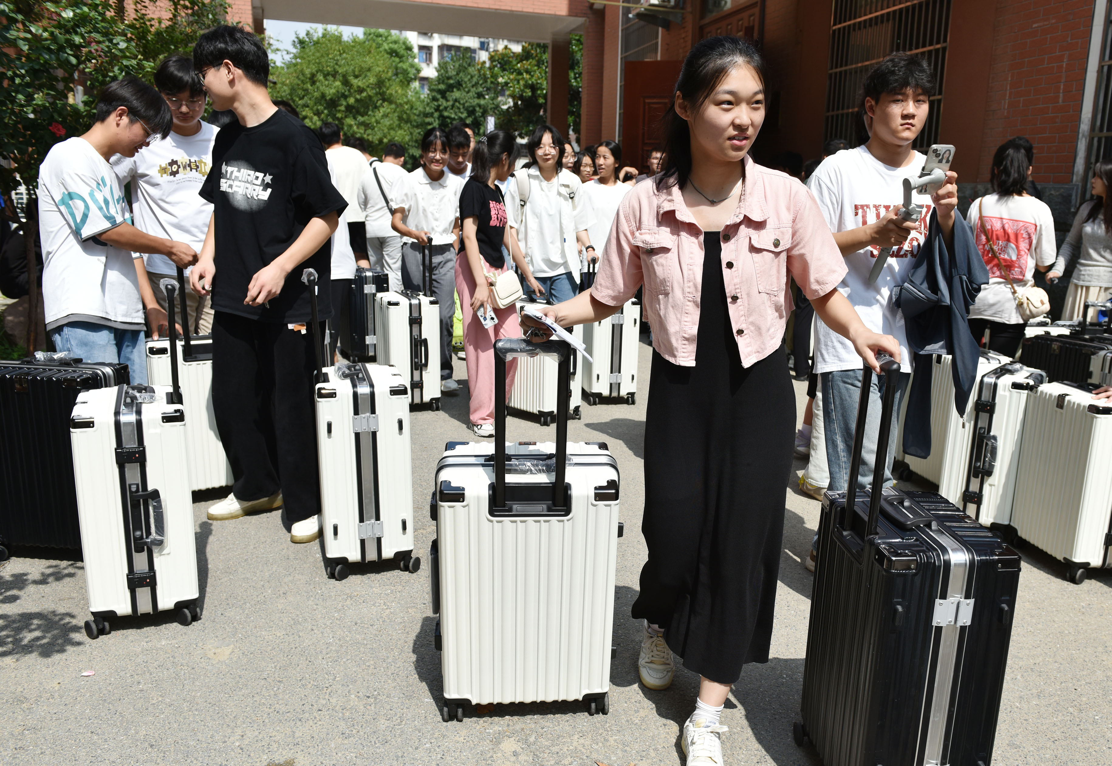 新澳门2025原材料大全