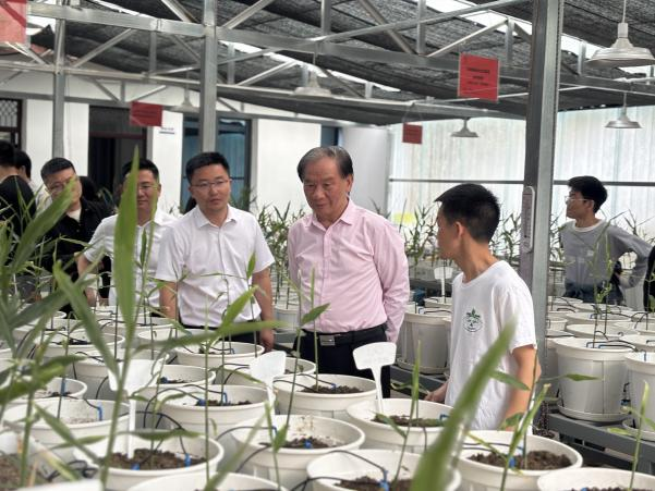 undefined 新澳门2025原材料大全